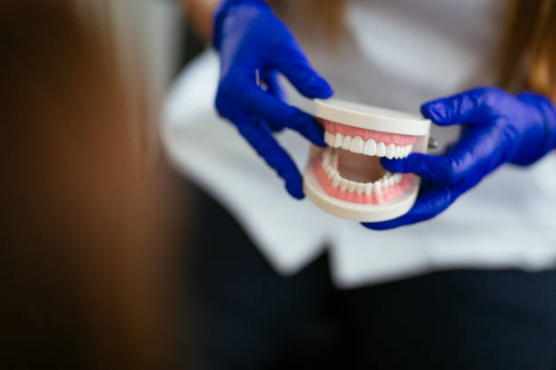 Loveland, OH Holistic Dental Care Services Company